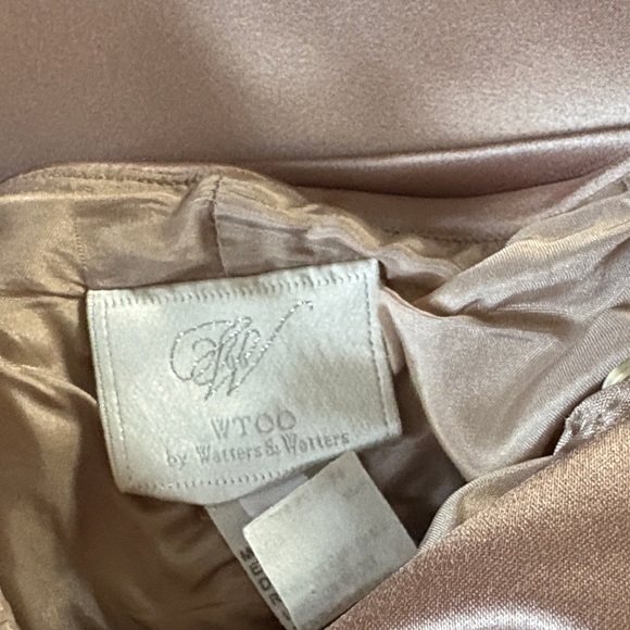 Strapless Champagne Gown - Picture 4 of 5